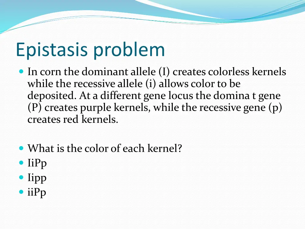 epistasis problem in corn the dominant allele