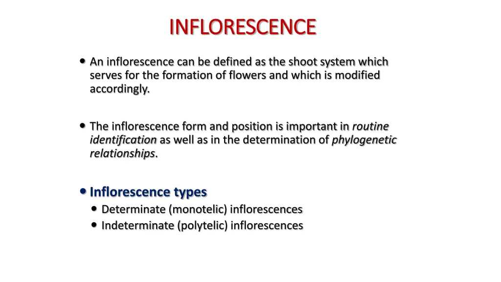 inflorescence inflorescence