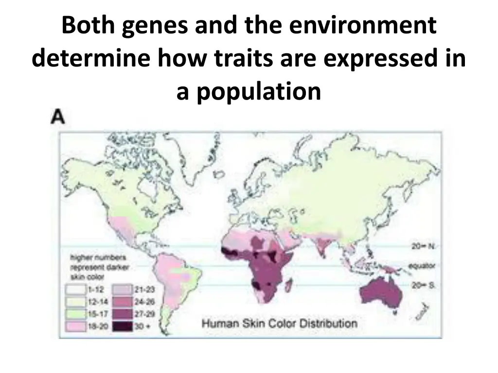 both genes and the environment determine