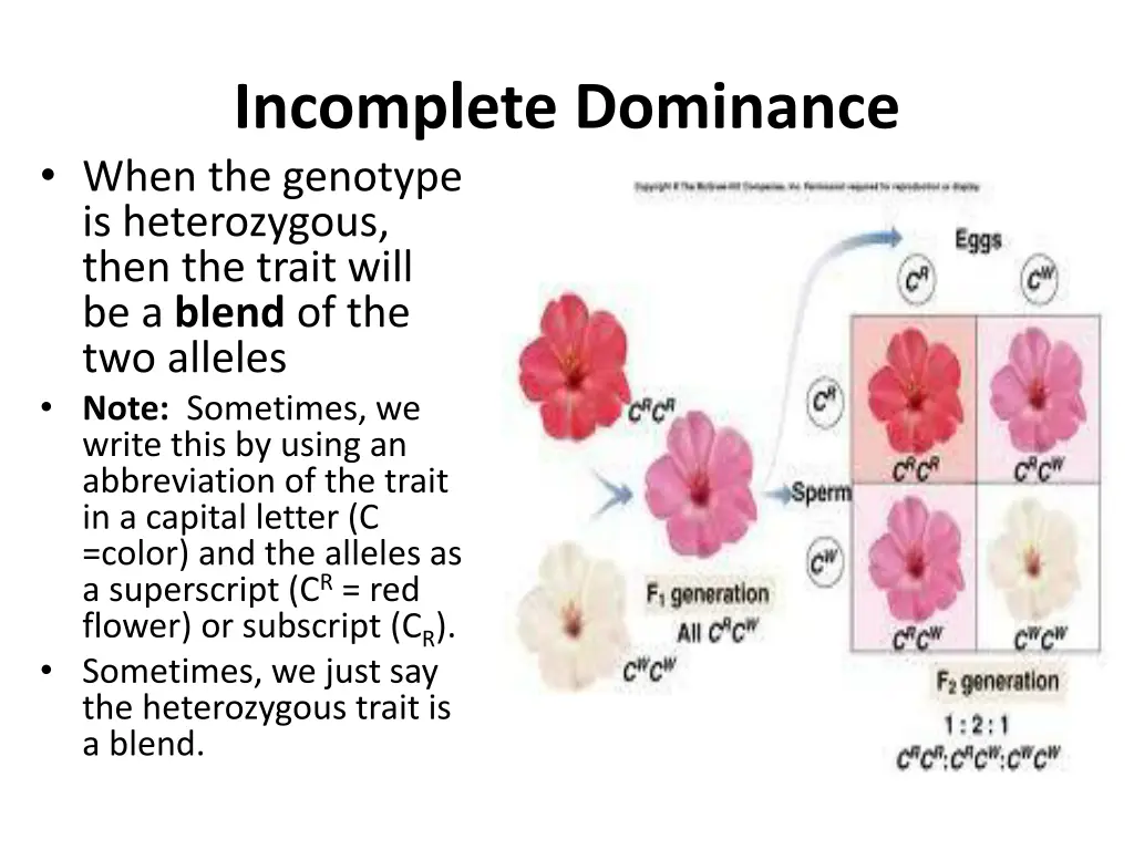 incomplete dominance when the genotype