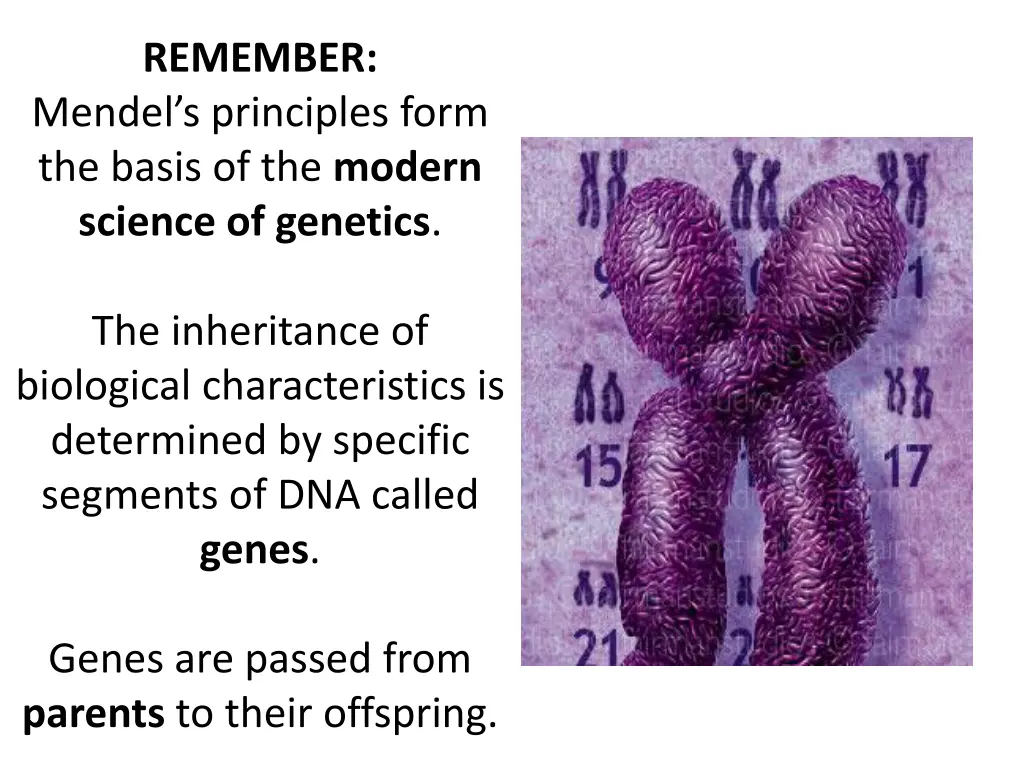 remember mendel s principles form the basis