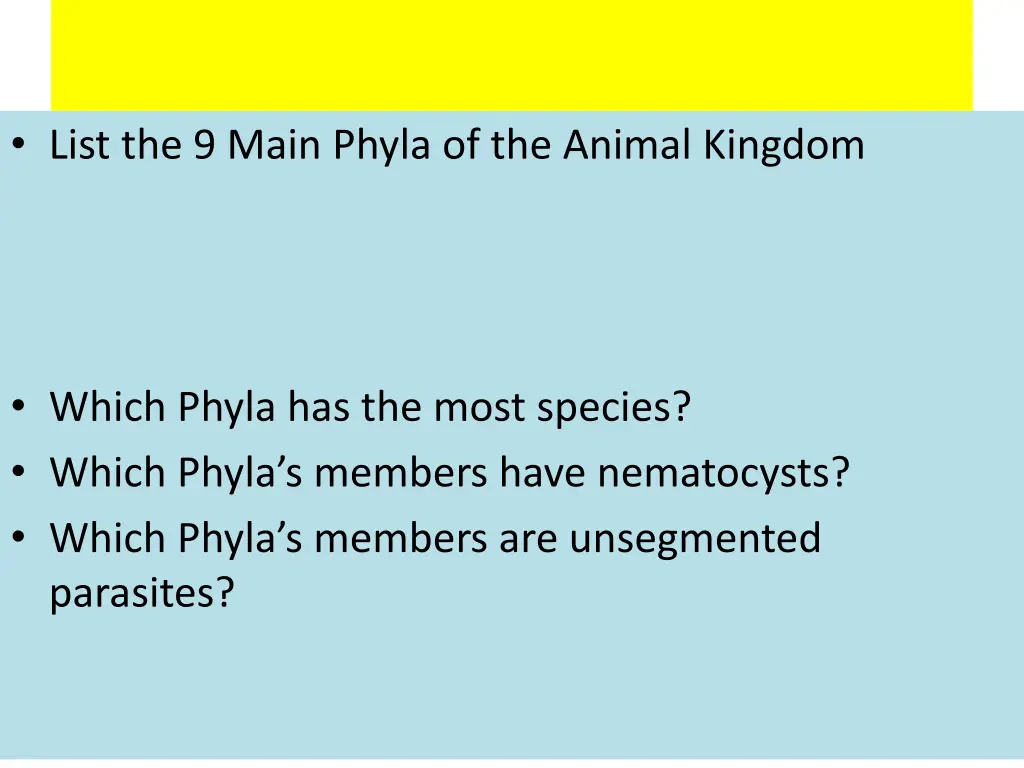 list the 9 main phyla of the animal kingdom