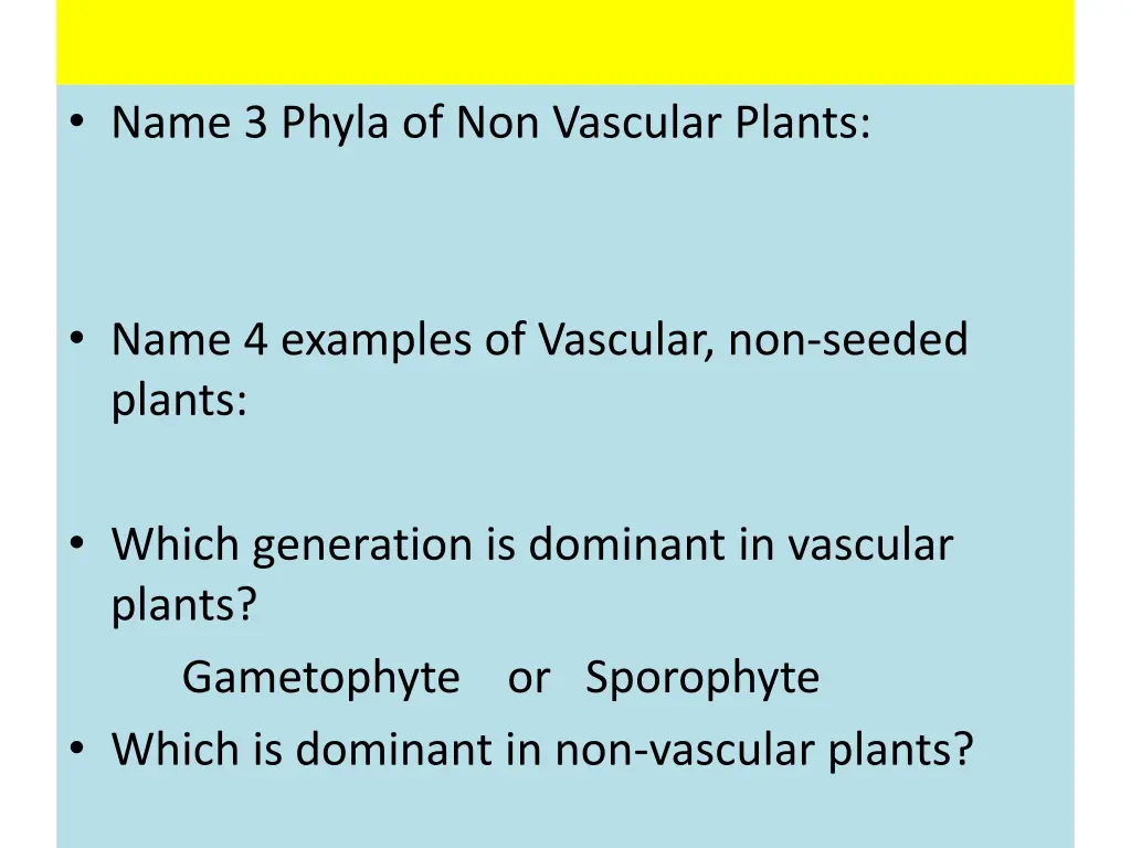 name 3 phyla of non vascular plants