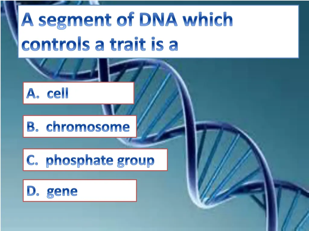 a segment of dna which controls a trait is a