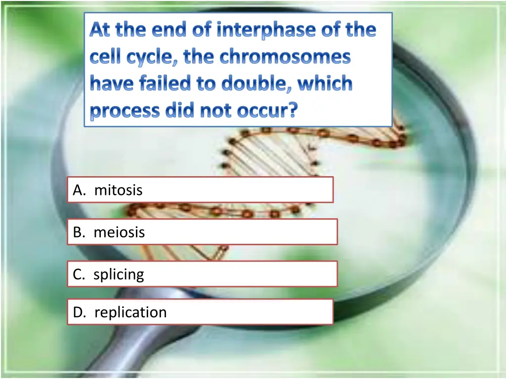 at the end of interphase of the cell cycle