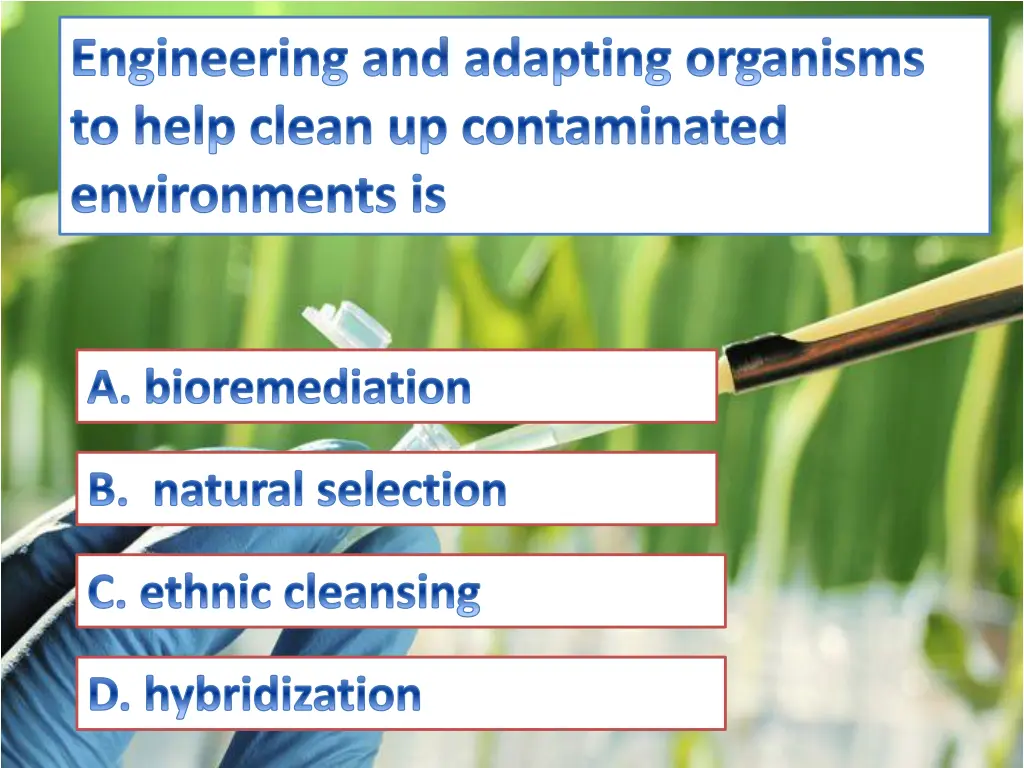 engineering and adapting organisms to help clean