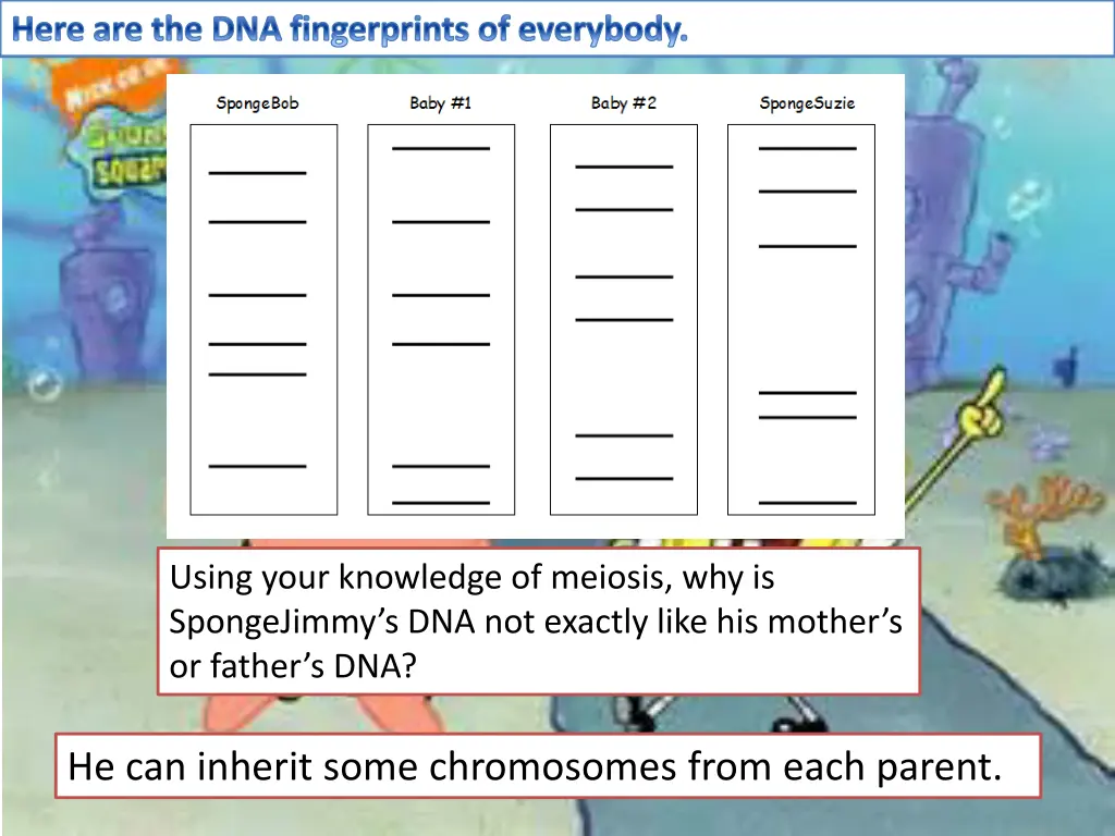 here are the dna fingerprints of everybody 2