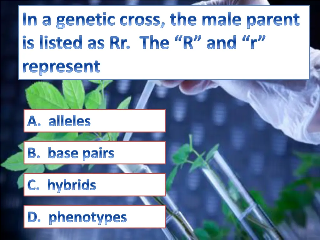 in a genetic cross the male parent is listed