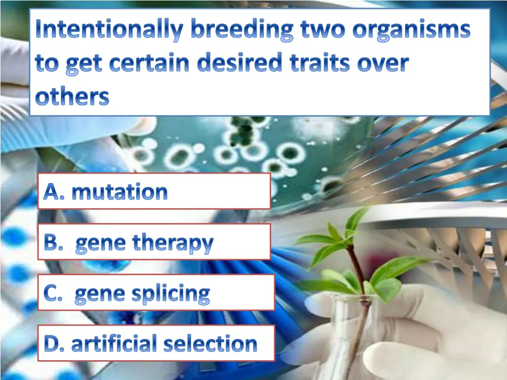 intentionally breeding two organisms