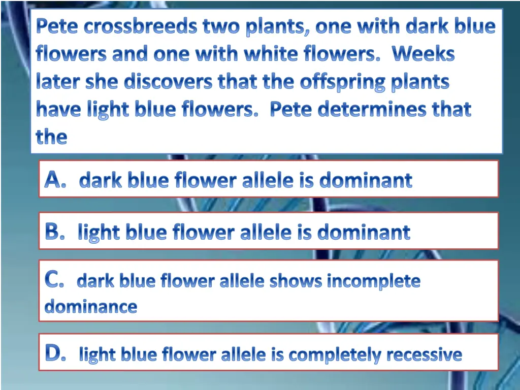 pete crossbreeds two plants one with dark blue