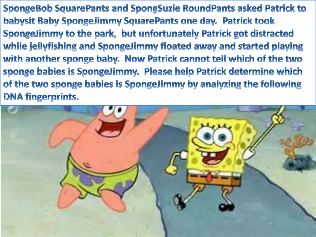 spongebob squarepants and spongsuzie roundpants