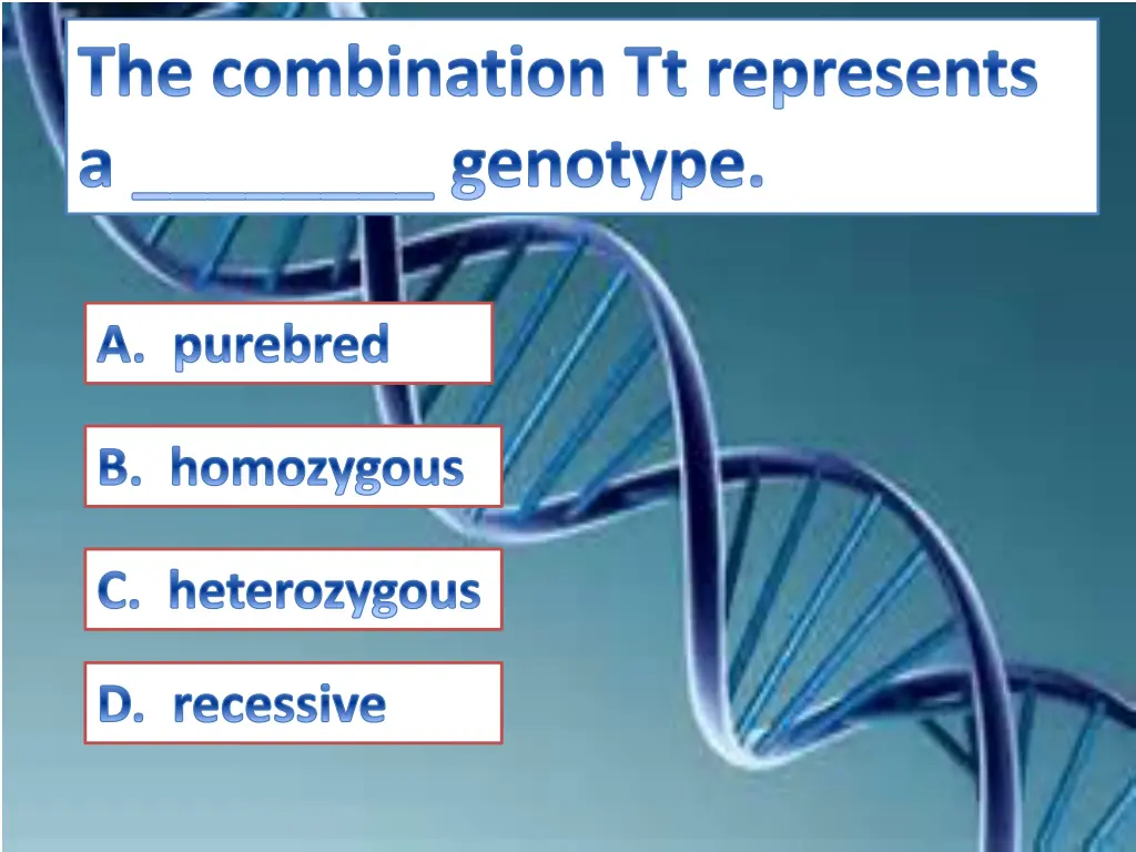 the combination tt represents a genotype