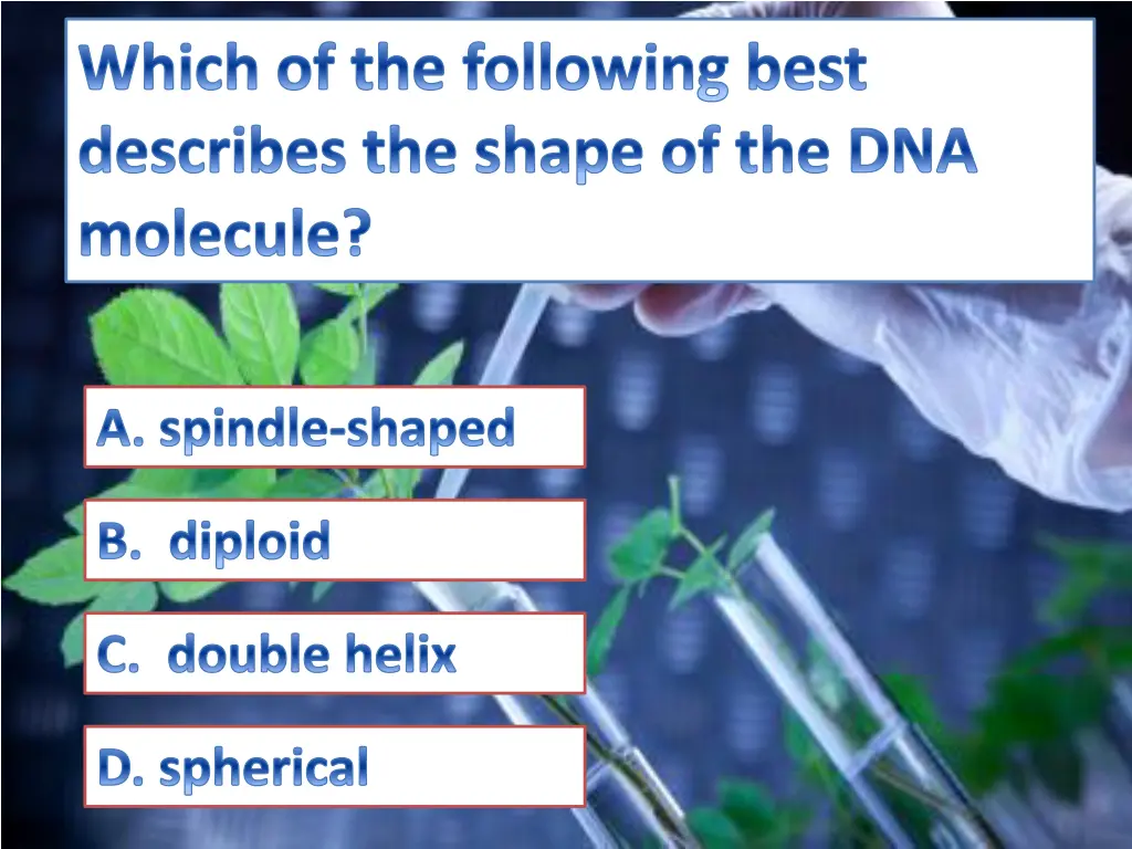 which of the following best describes the shape