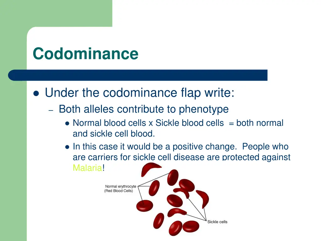 codominance