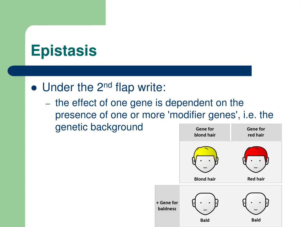 epistasis