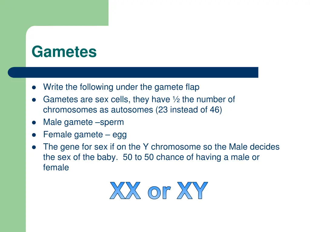 gametes