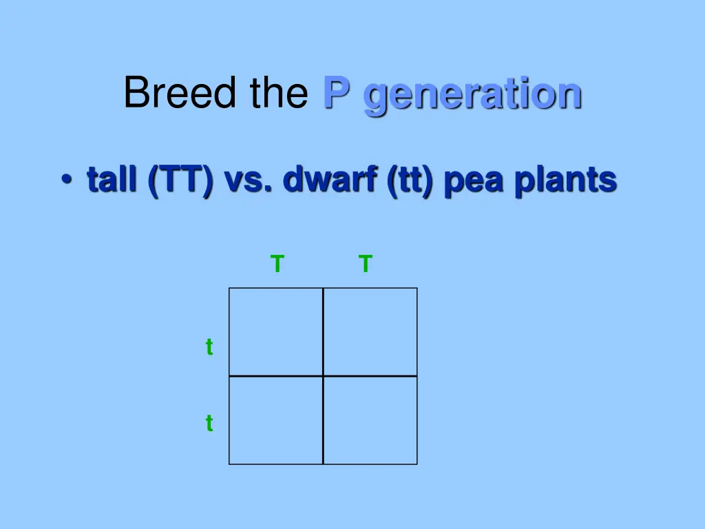 breed the p generation