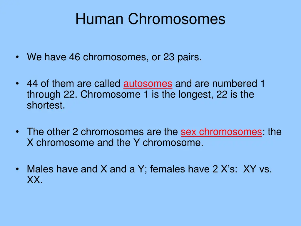 human chromosomes