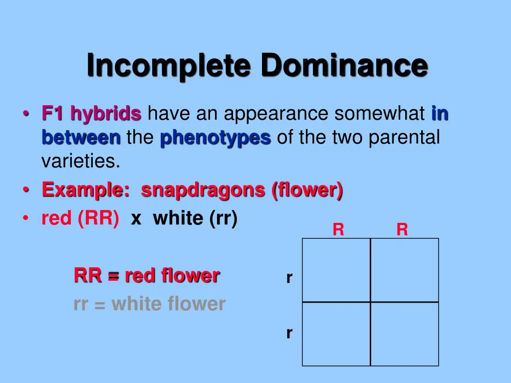 incomplete dominance