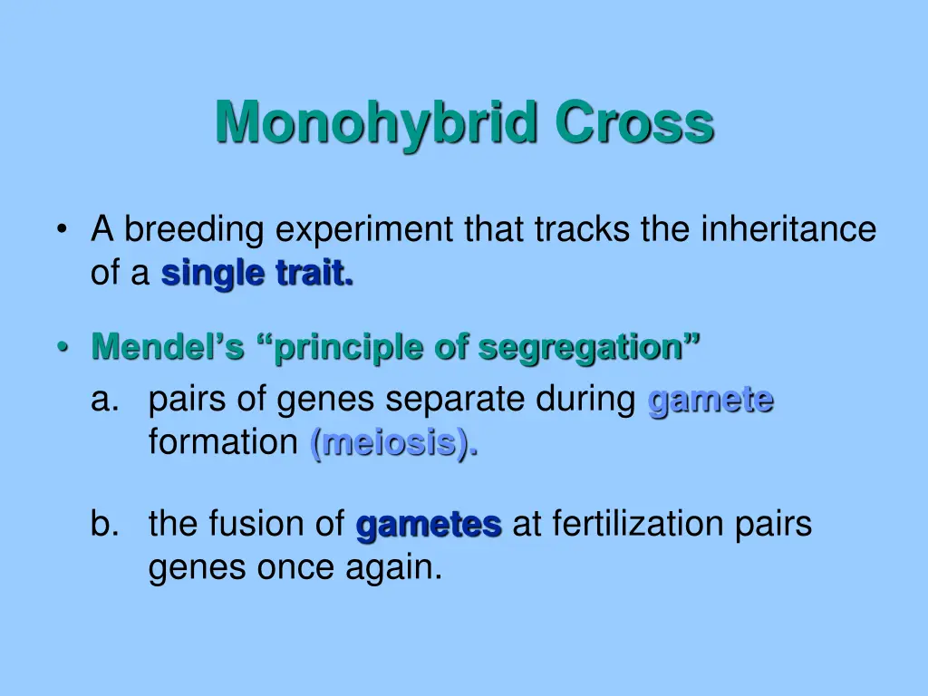 monohybrid cross