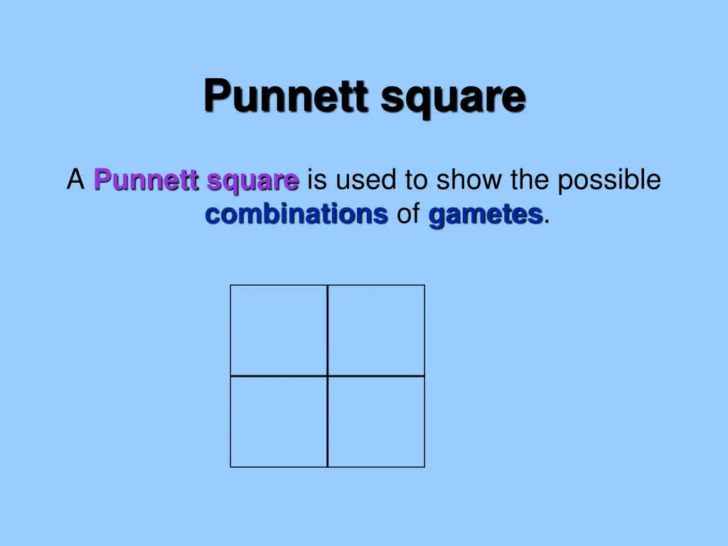 punnett square