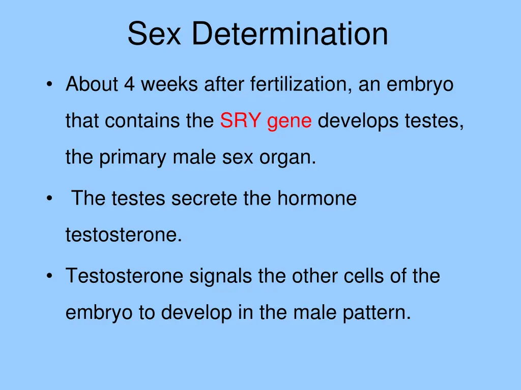 sex determination 2