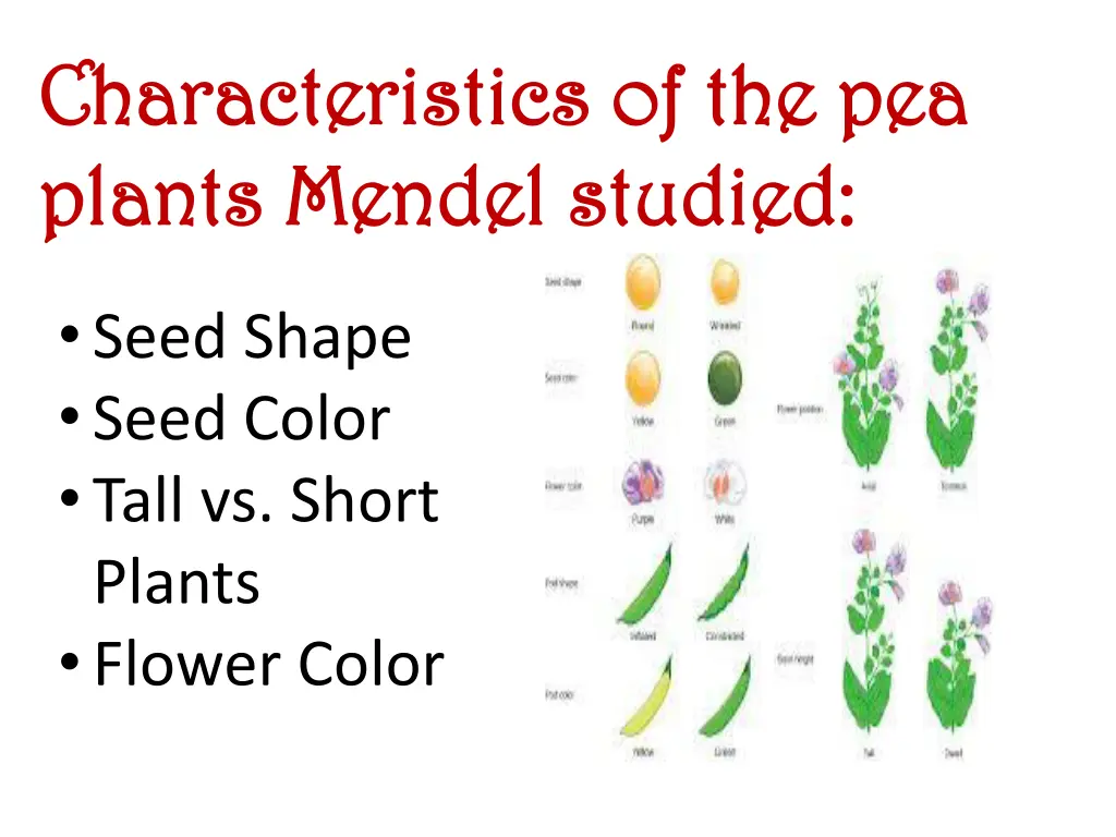 characteristics of the pea characteristics