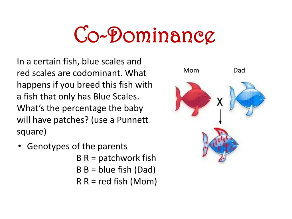 co co dominance dominance