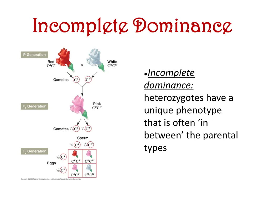 incomplete incomplete dominance