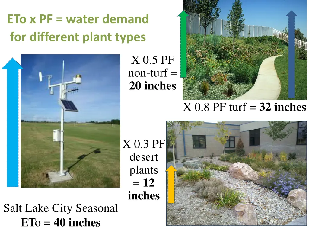 eto x pf water demand for different plant types