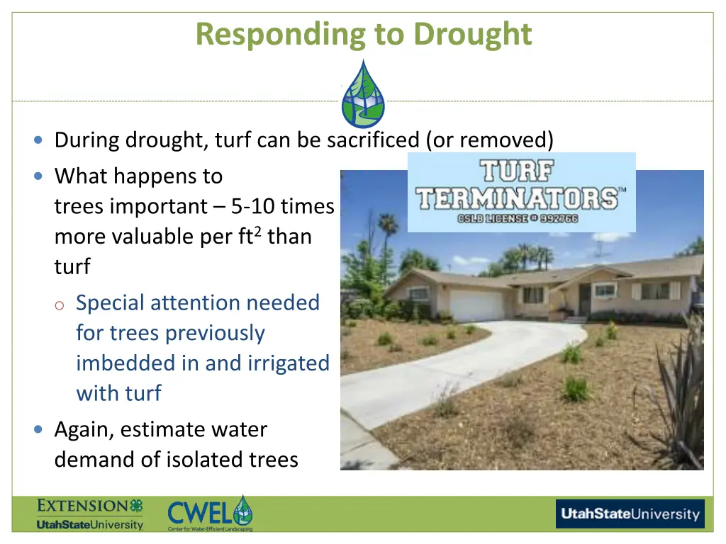 responding to drought