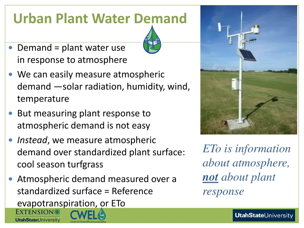 urban plant water demand