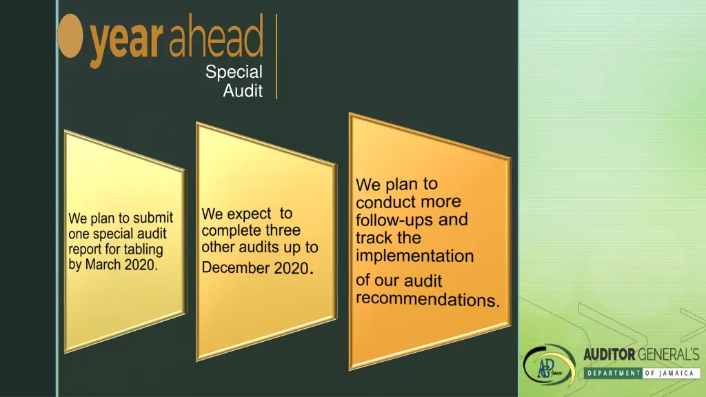 special audit