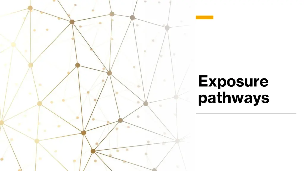 exposure pathways