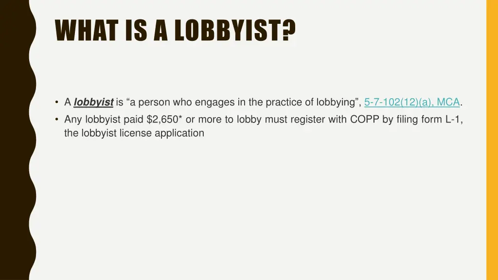 what is a lobbyist