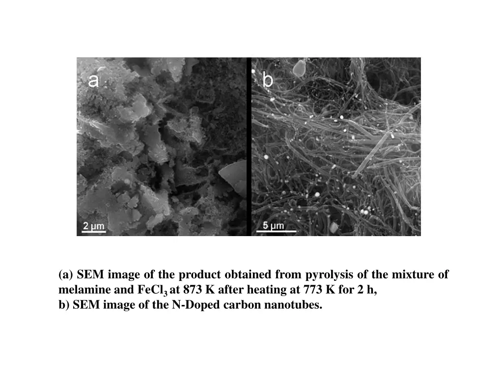 a sem image of the product obtained from