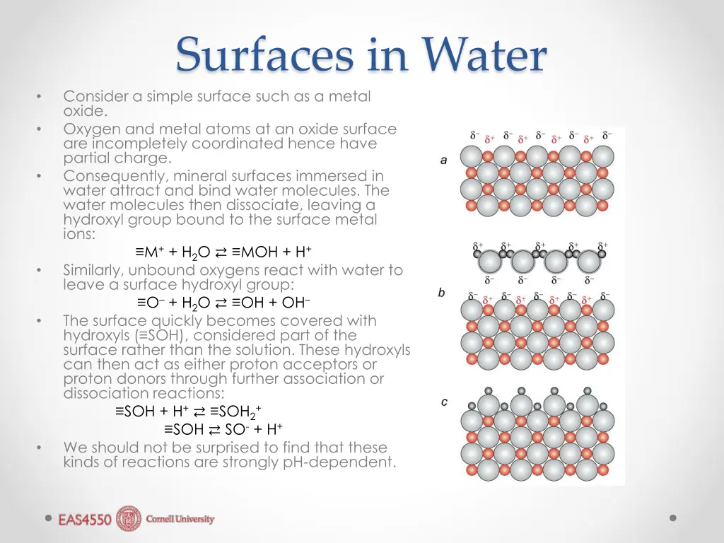 surfaces in water consider a simple surface such