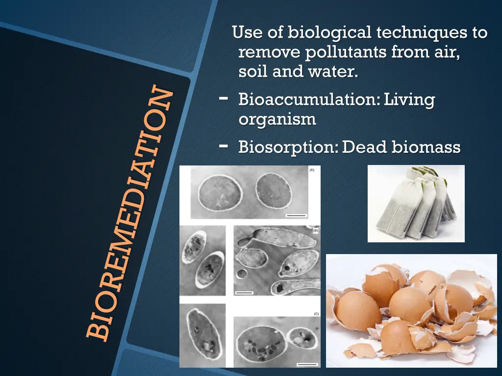 use of biological techniques to remove pollutants