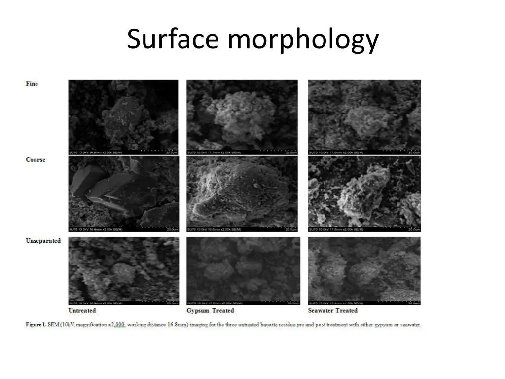 surface morphology