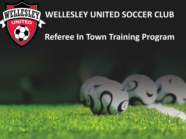 wellesley united soccer club