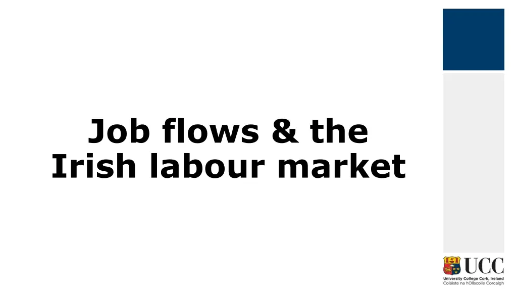 job flows the irish labour market