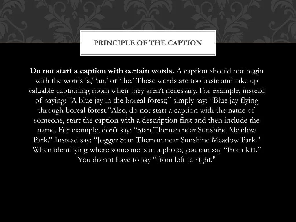 principle of the caption 3