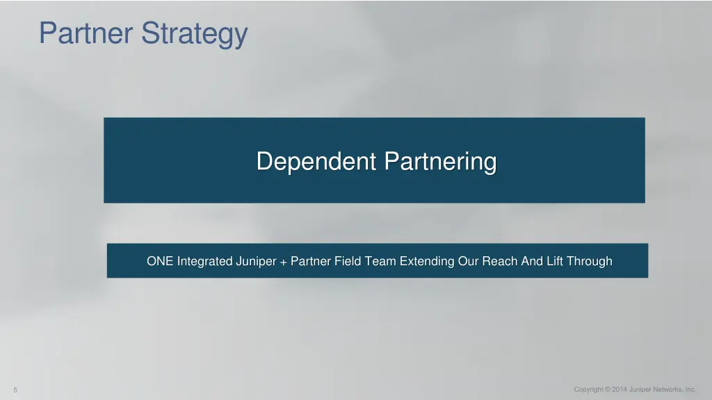 partner strategy