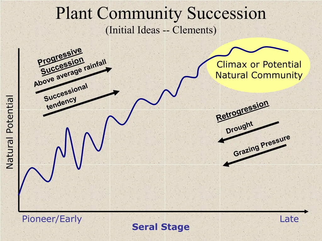 plant community succession initial ideas clements