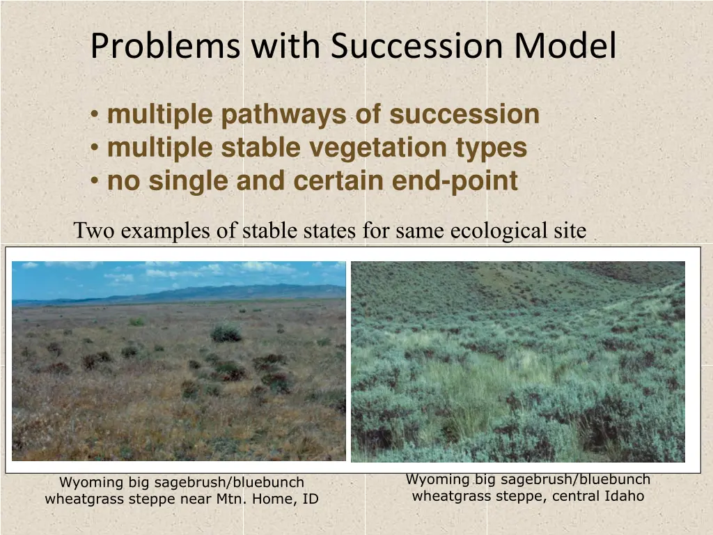 problems with succession model