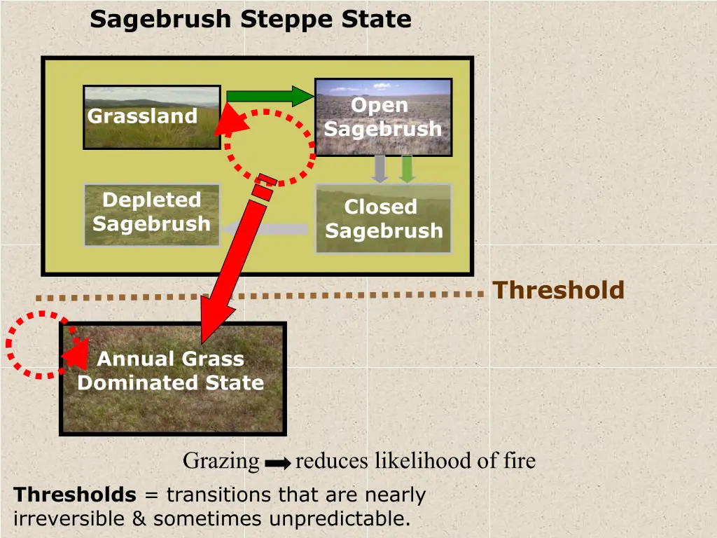 sagebrush steppe state