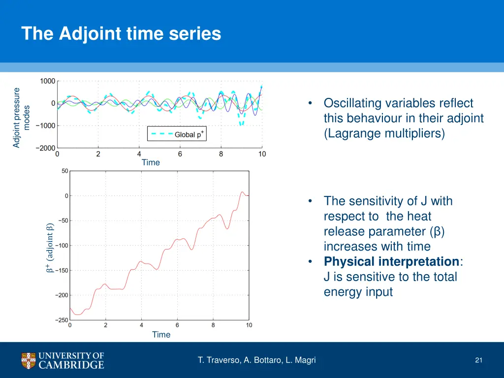 the adjoint time series