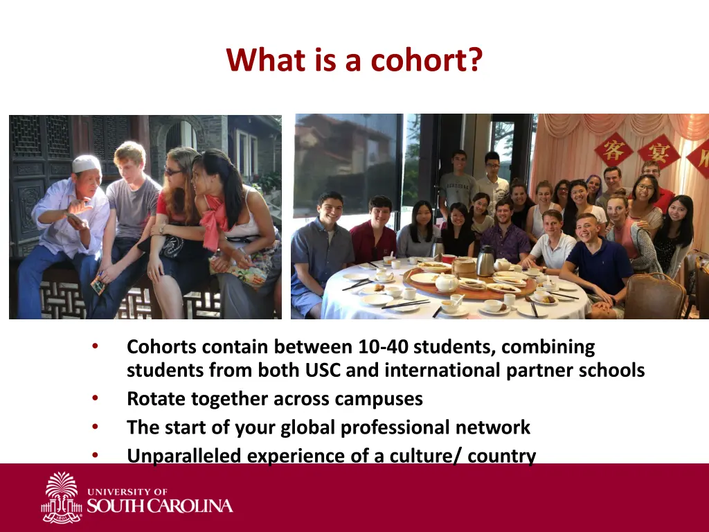 what is a cohort