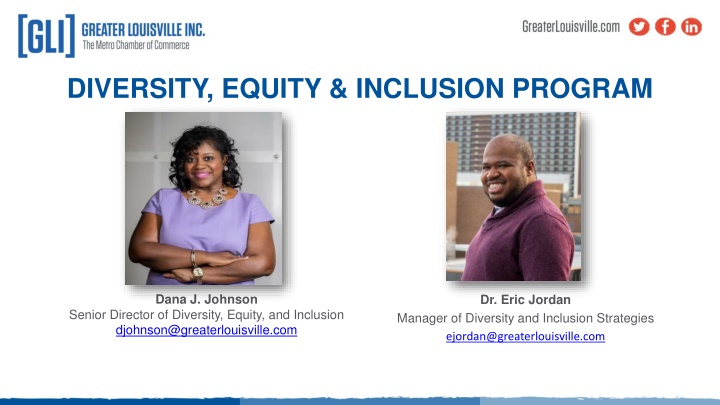 diversity equity inclusion program