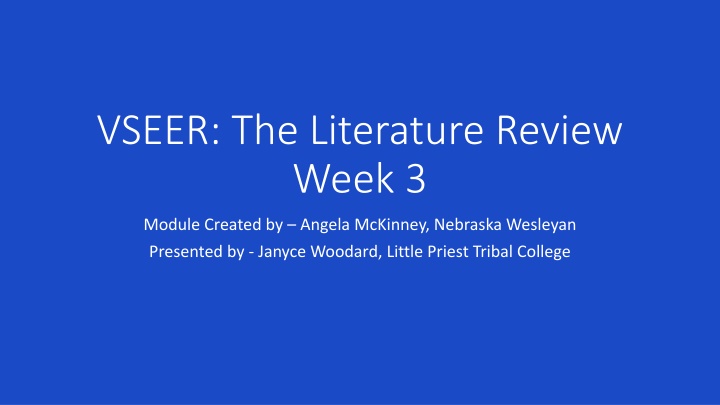 vseer the literature review week 3